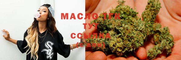 стаф Майский