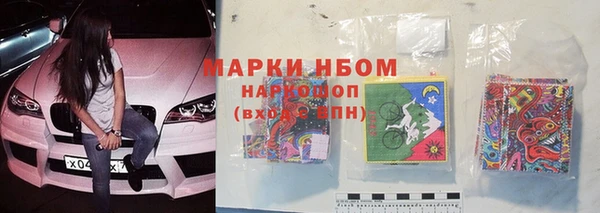 крисы Магадан