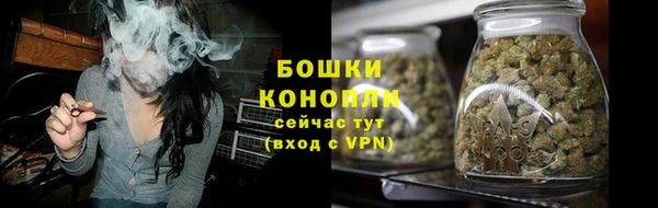 крисы Магадан