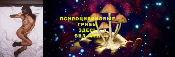 крисы Магадан