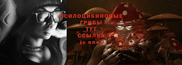 ПСИЛОЦИБИНОВЫЕ ГРИБЫ Магас