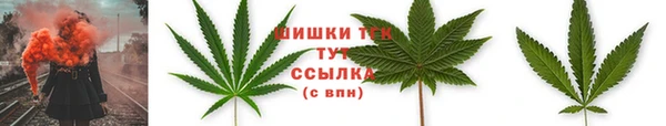 ПСИЛОЦИБИНОВЫЕ ГРИБЫ Магас