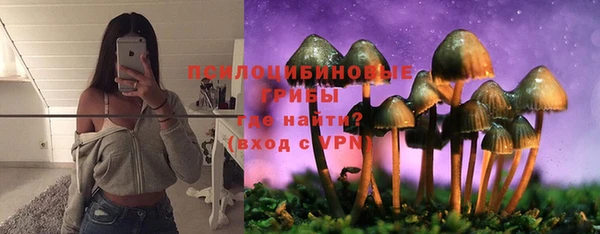 ПСИЛОЦИБИНОВЫЕ ГРИБЫ Магас