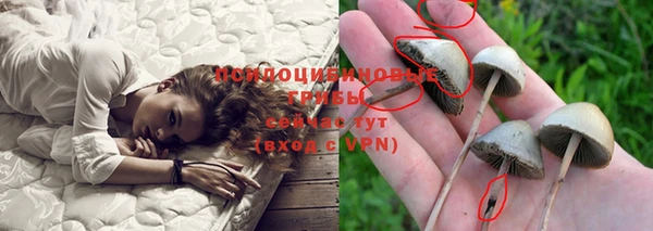 стаф Майский