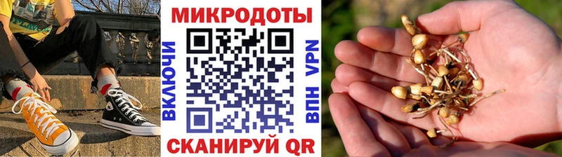 Псилоцибиновые грибы GOLDEN TEACHER  купить наркоту  Нижневартовск 